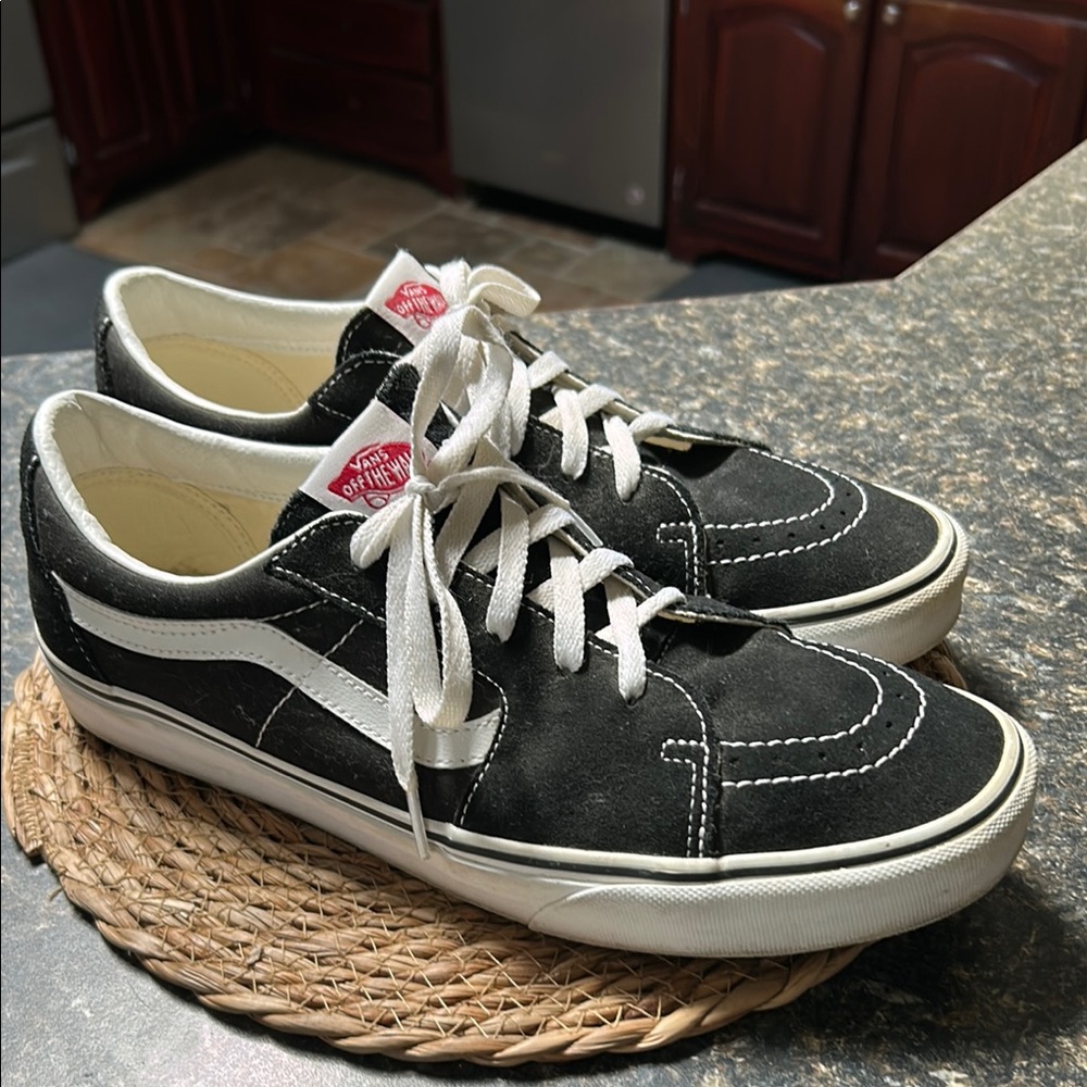 Vans Skate Low
